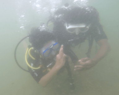 Scuba diving pic