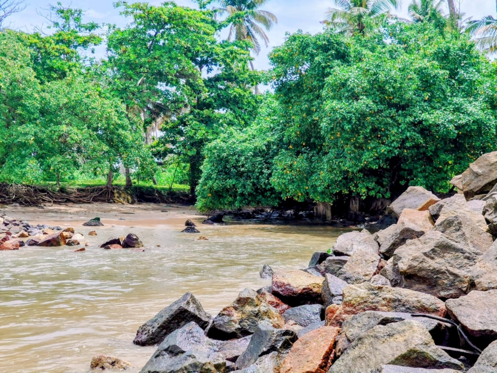 A tranquil view from Thirumullavaram Beach.
