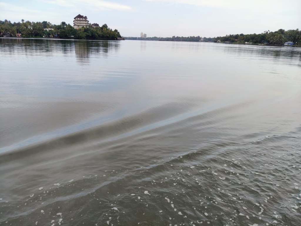 Scenes From Ashtamudi Lake