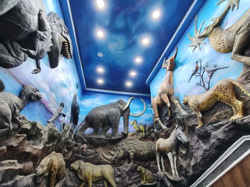 A Day at the Natural History Museum, Palayam, Trivandrum, Kerala