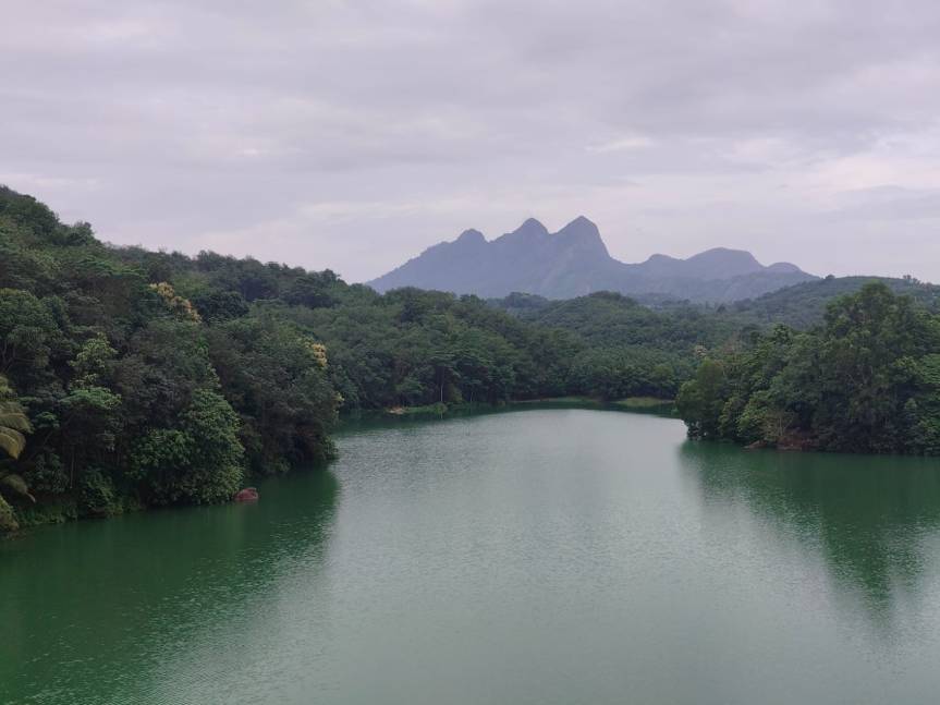 Amboori – A Monsoon Walk with Appooppanthaadi – Part&nbsp;2