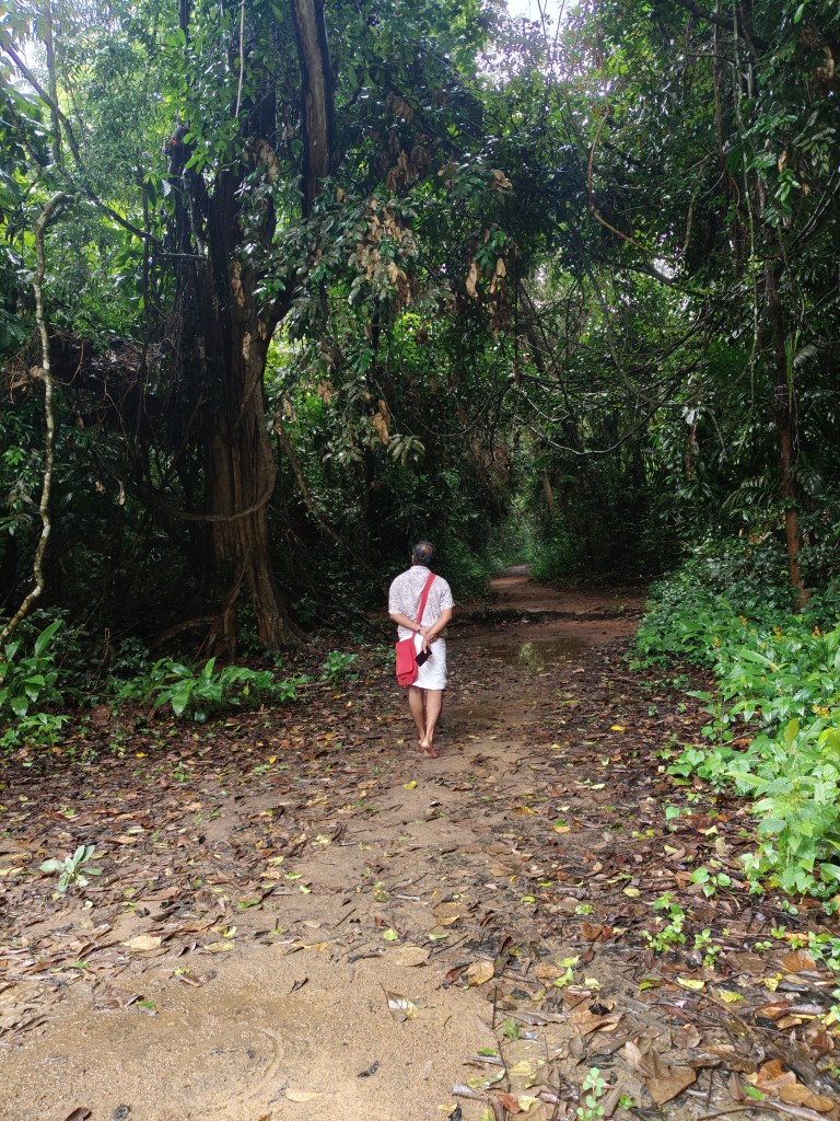 Walking through the Iringole Kavu barefoot