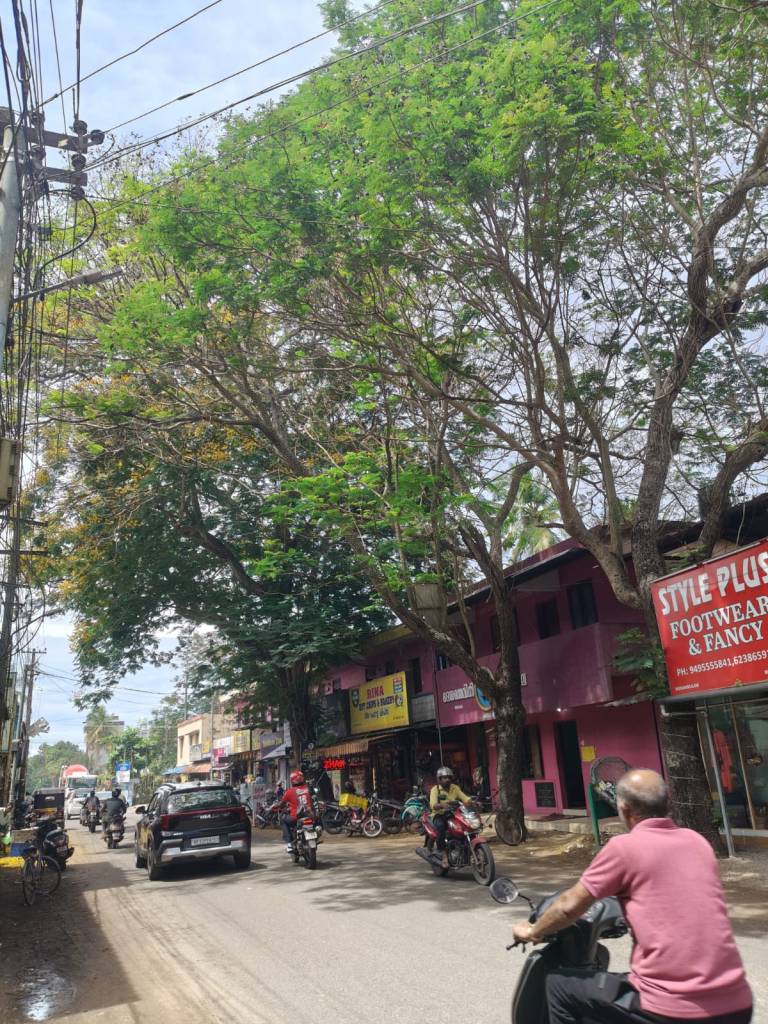 Menamkulam Junction